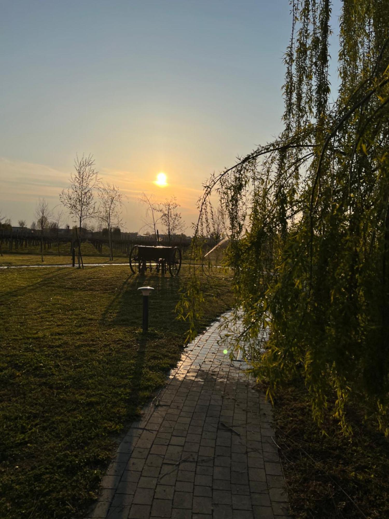 Agriturismo L'Imperfetto Διαμέρισμα Campo di Pietra Εξωτερικό φωτογραφία